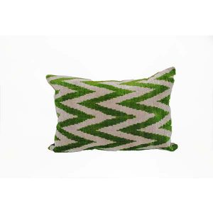 pure silk velvet cushion with exceptional design